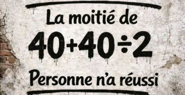 415451e6 c5a4 43f1 be7e f07b1286ad68 683x1024