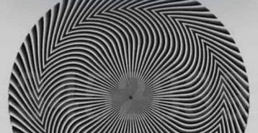 480444141 122226174434201019 2903663002614961044 n