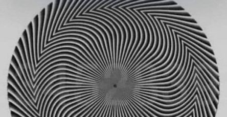 480444141 122226174434201019 2903663002614961044 n