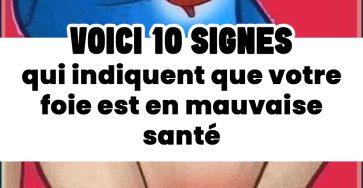 482325558 1051320890365819 5681697535603825533 n