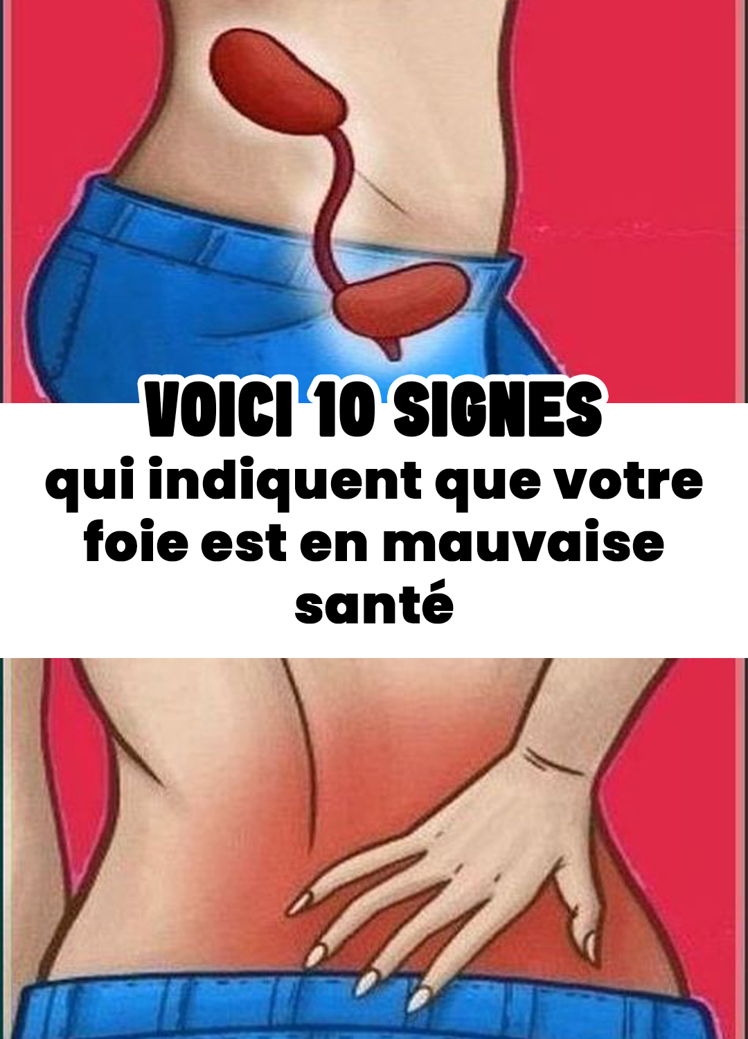 482325558 1051320890365819 5681697535603825533 n