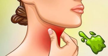 527986225 751500417809412 406641276745957339 n