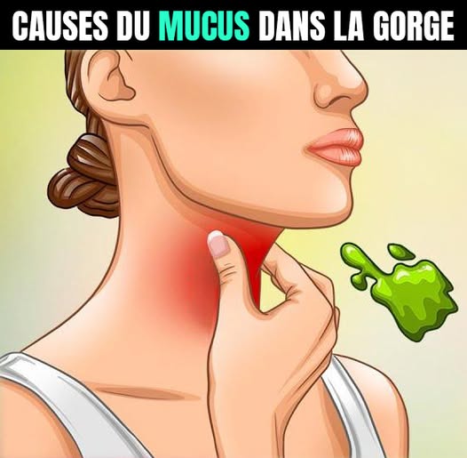 527986225 751500417809412 406641276745957339 n