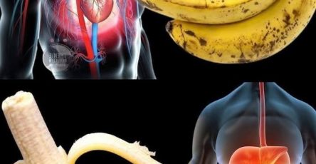 586397538 746354741816371 175844820688549123 n