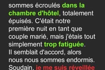 610792733 1779307066238951 2626512760260320885 n