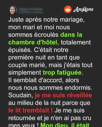 610792733 1779307066238951 2626512760260320885 n