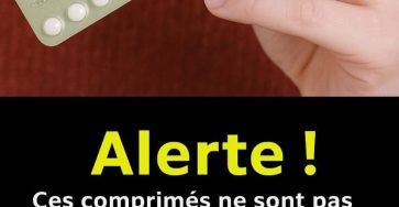 617384578 813673535060190 5505797974704070959 n