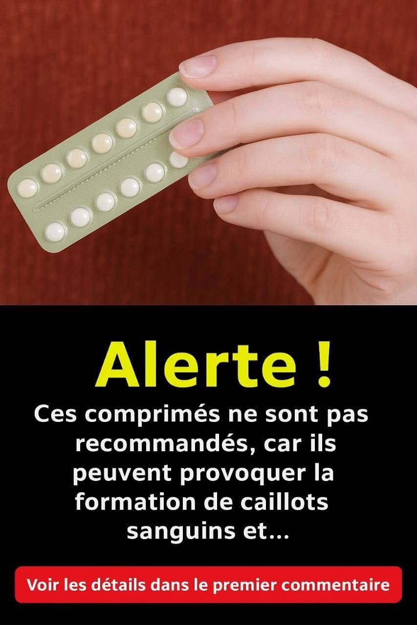 617384578 813673535060190 5505797974704070959 n