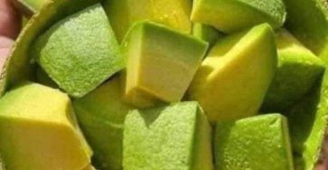 626043949 122107267641240988 4145240335183210494 n