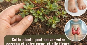 651431352 122115856461205411 1918470115138455653 n 1 768x987