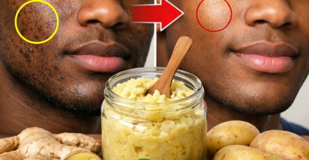 656908405 1542796547851233 4775416718443321591 n