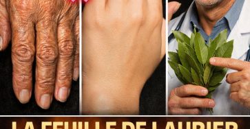 657380614 122128456917049208 7105336192620385449 n