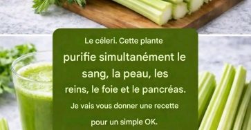 658896365 934567472896564 4063416355350472621 n