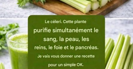 658896365 934567472896564 4063416355350472621 n