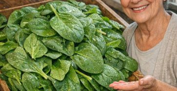 662820273 876886602067565 5333281948015130 n