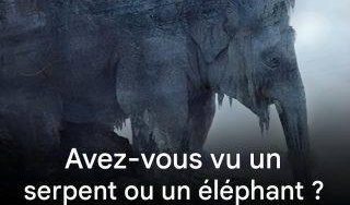 667725709 2139582333541801 4129753182959467168 n