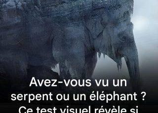 667725709 2139582333541801 4129753182959467168 n