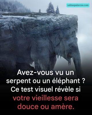 667725709 2139582333541801 4129753182959467168 n