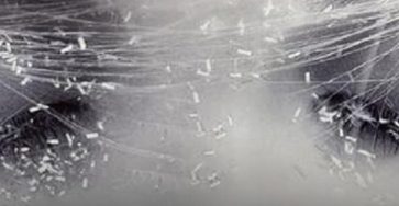 668264450 960255023375748 521199473055399048 n