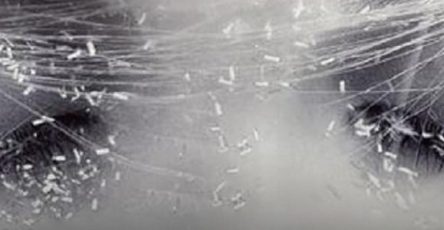 668264450 960255023375748 521199473055399048 n