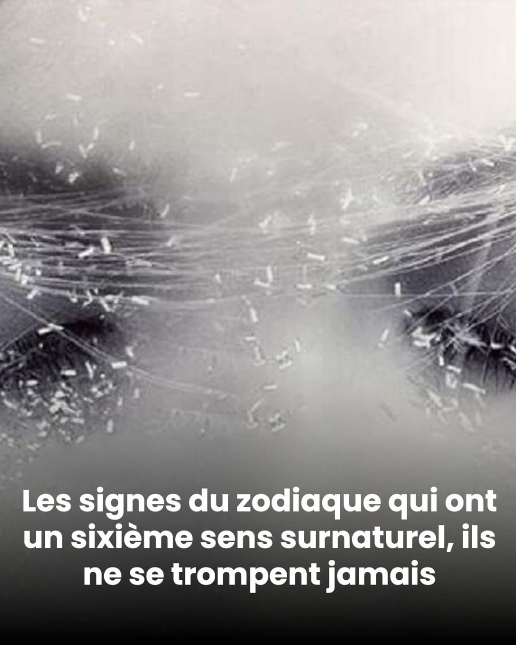 668264450 960255023375748 521199473055399048 n