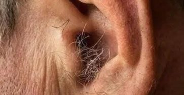 668585597 122103884414880481 5204489890735893071 n