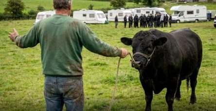 673564406 122099986718734397 2824064334211566441 n