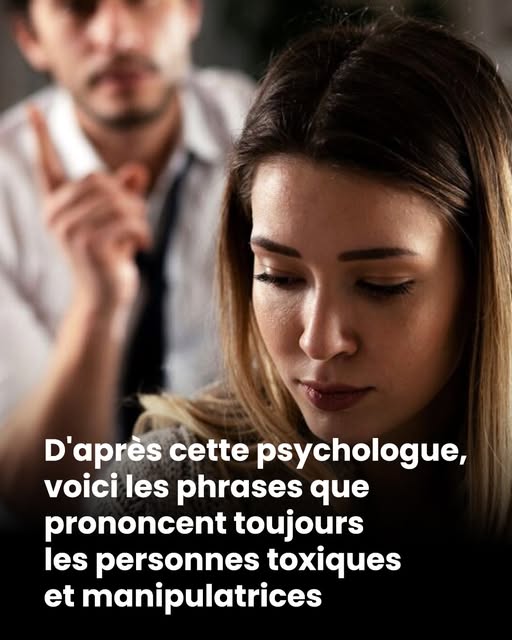 677374666 1517226503166724 7896796977929569866 n