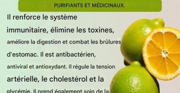 6da8248f 97e3 438d a642 dd267eadfaa8