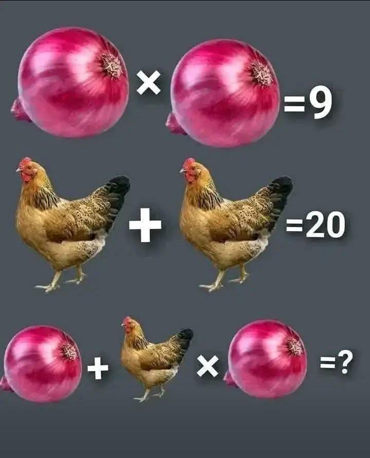 WhatsApp Image 2026 03 02 at 19.37.05