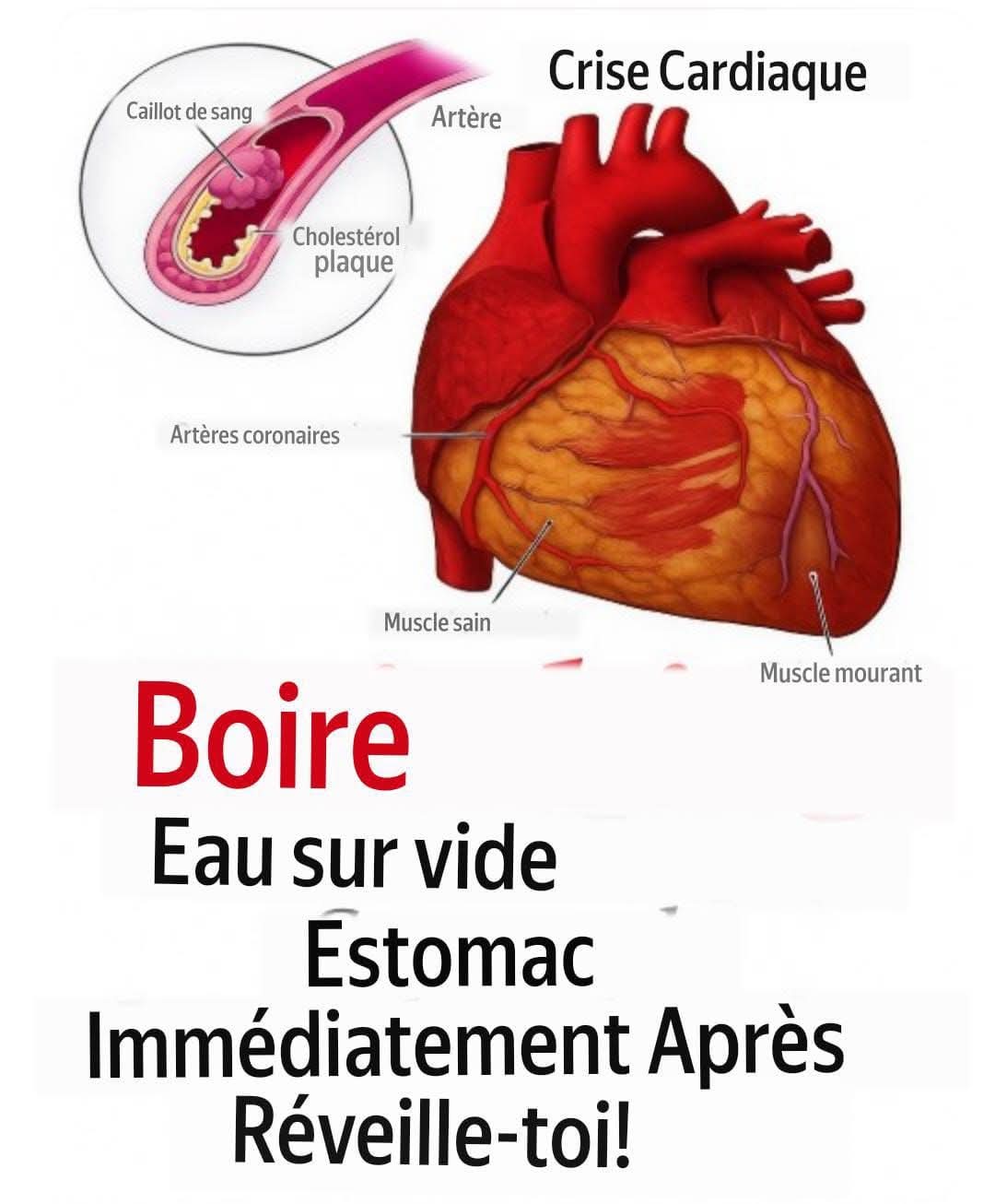 WhatsApp Image 2026 04 05 at 4.11.06 PM