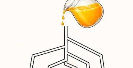 WhatsApp Image 2026 04 14 at 10.02.52 PM