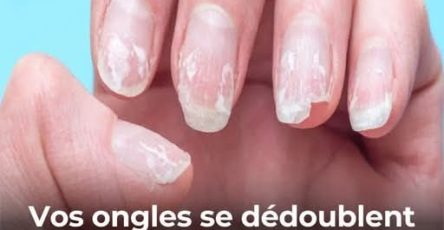 WhatsApp Image 2026 04 14 at 10.02.52 PM