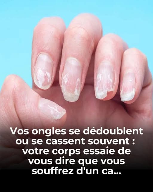 WhatsApp Image 2026 04 14 at 10.02.52 PM