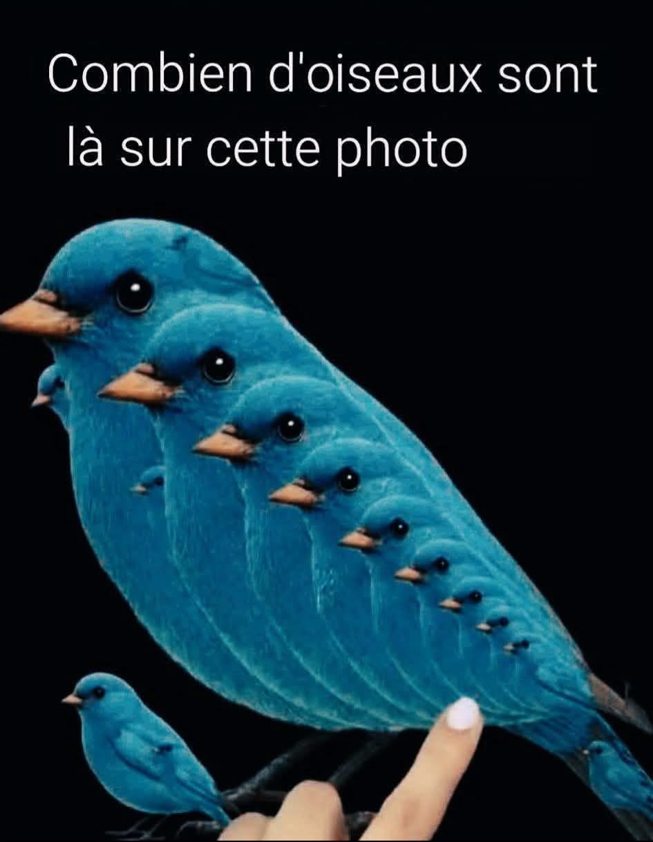 WhatsApp Image 2026 04 17 at 6.16.10 PM