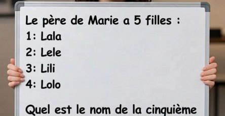 WhatsApp Image 2026 04 17 at 6.16.10 PM