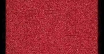 WhatsApp Image 2026 04 17 at 6.16.10 PM