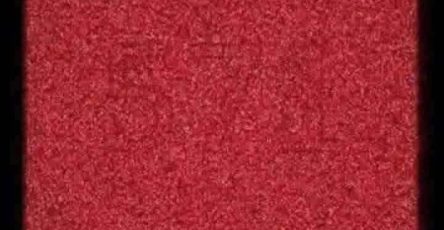 WhatsApp Image 2026 04 17 at 6.16.10 PM