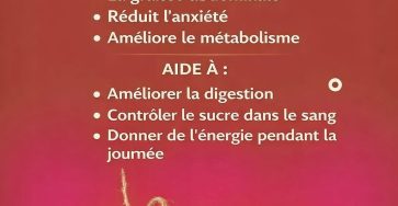 WhatsApp Image 2026 04 17 at 6.16.10 PM