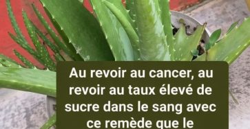 WhatsApp Image 2026 04 18 at 4.32.29 PM