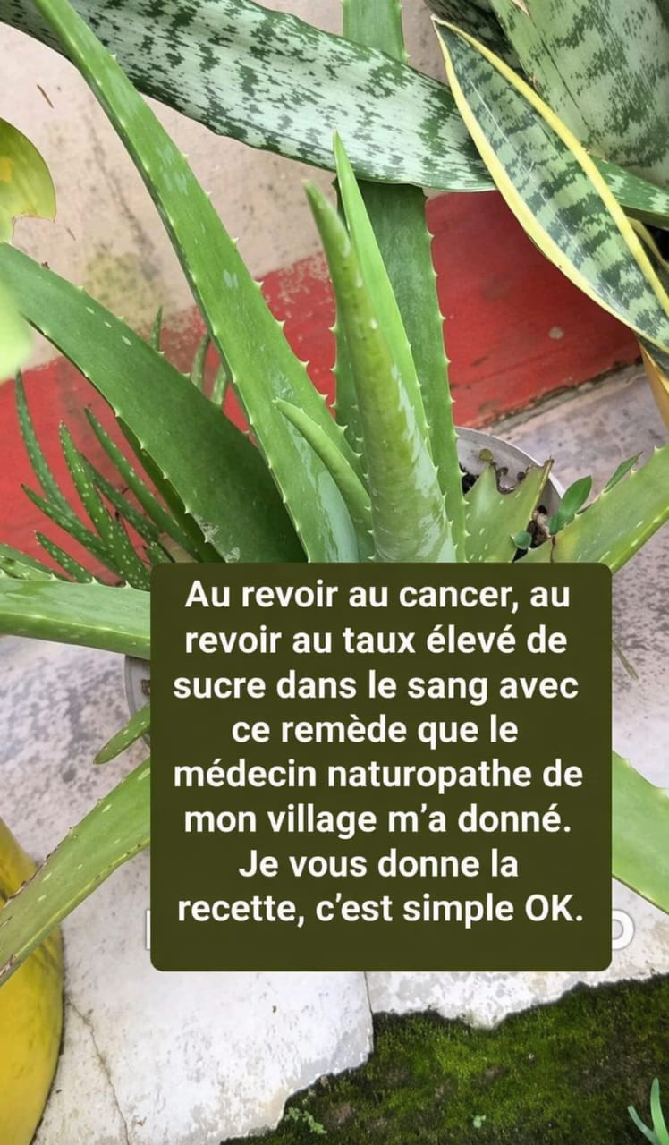 WhatsApp Image 2026 04 18 at 4.32.29 PM