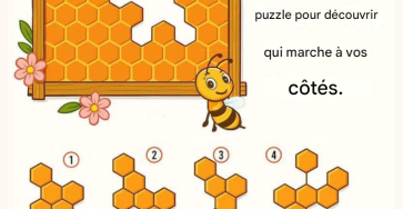 B19c9696 9a7f 4452 af84 2625da1125b7 15