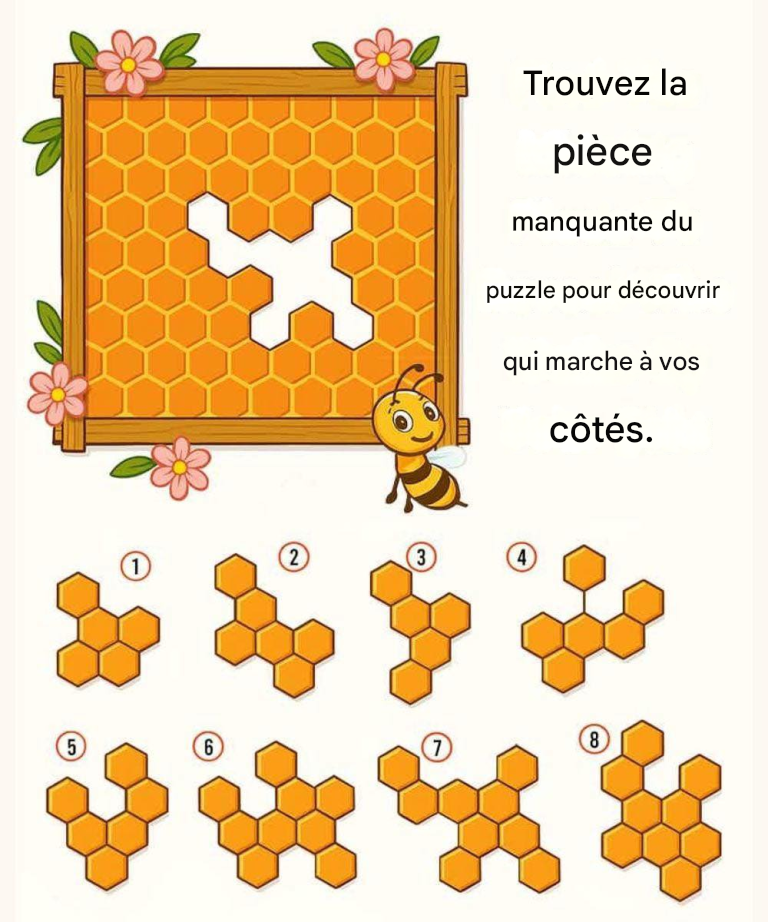 B19c9696 9a7f 4452 af84 2625da1125b7 15