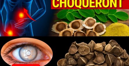 B4b80a74 60ea 49f1 ae9e 30ed88c27bbe