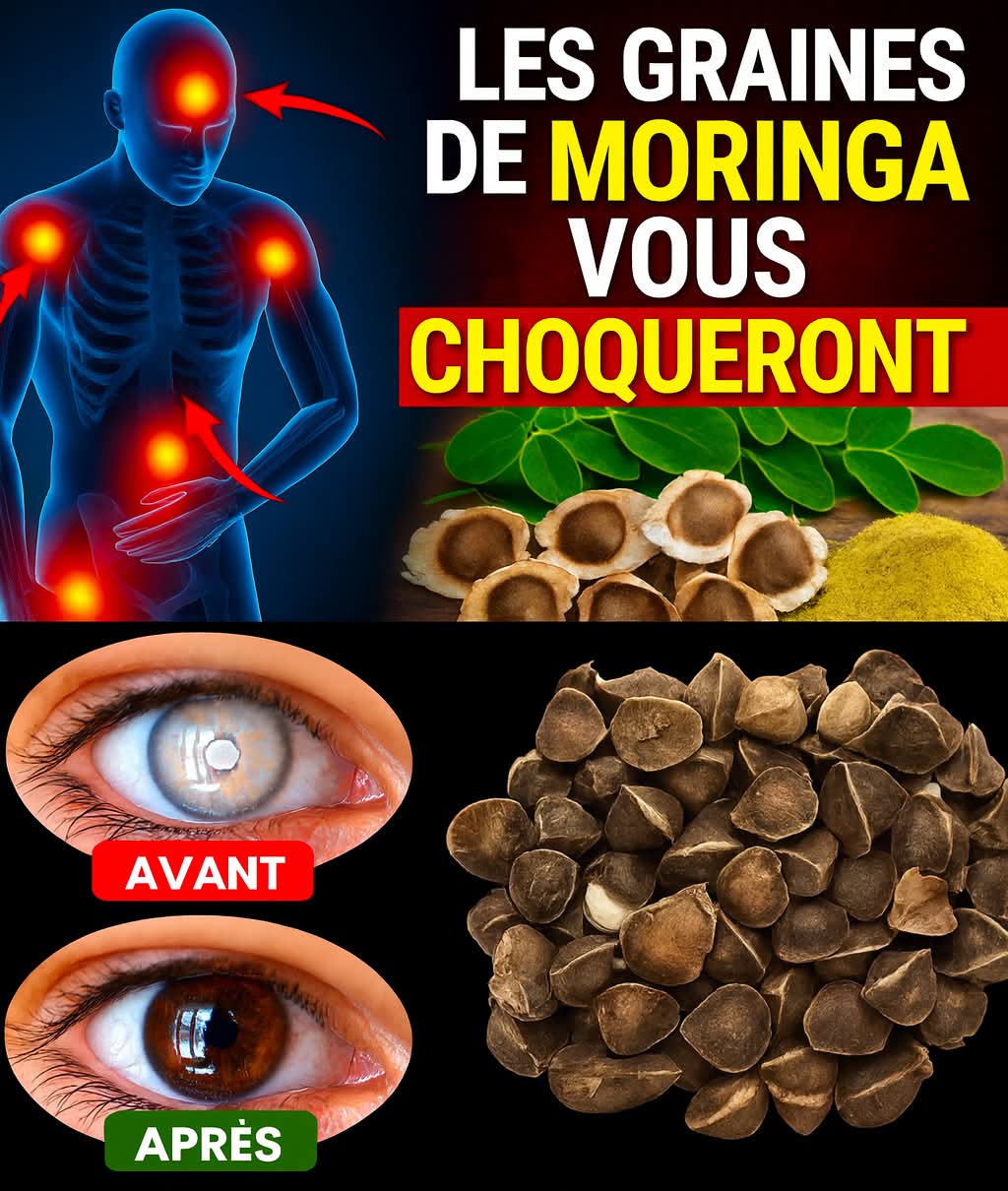 B4b80a74 60ea 49f1 ae9e 30ed88c27bbe