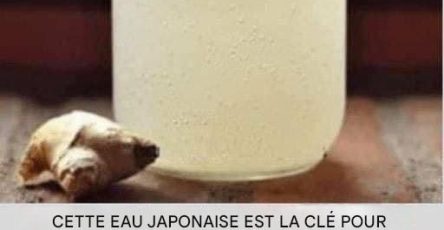 Bb1cf6aa 4ecf 4cce a33c 4a833b922678