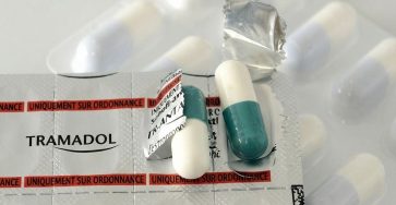 C49bf228 8c87 4874 92de 1a144365c39b