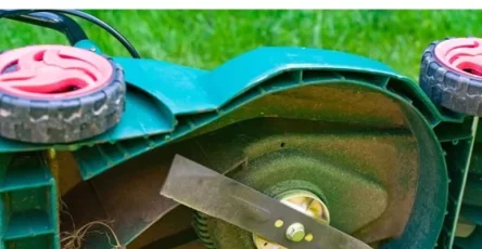 Comment aiguiser les lames dune tondeuse a gazon 819x1024.jpg 768x960