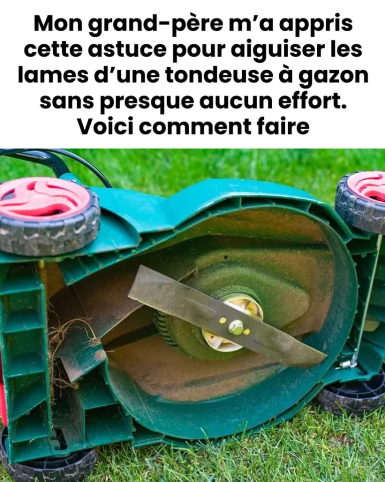 Comment aiguiser les lames dune tondeuse a gazon 819x1024.jpg 768x960