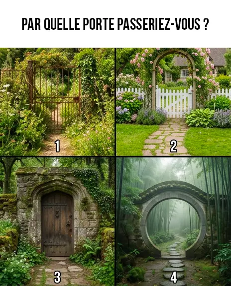 Le portail secret vers votre etat interieur choisissez une porte et decouvrez ce qui vous touche vraiment.jpg